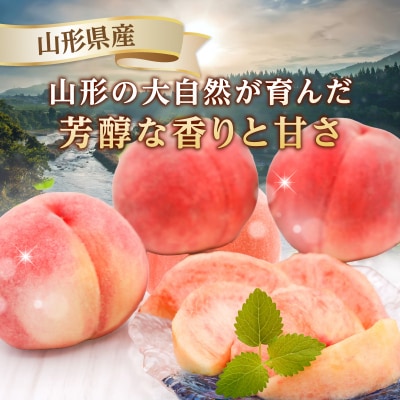 《先行受付》山形産白桃『川中島白桃』約3kg(6～12玉)秀品【8月中旬頃順次発送】 063-017