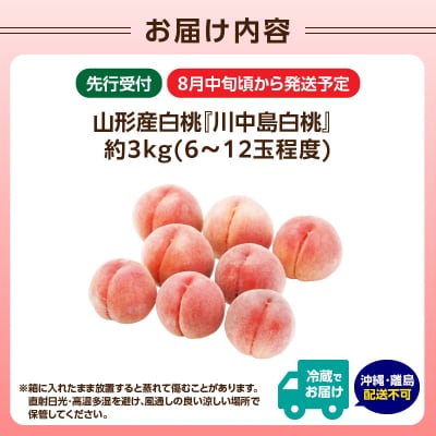 《先行受付》山形産白桃『川中島白桃』約3kg(6～12玉)秀品【8月中旬頃順次発送】 063-017