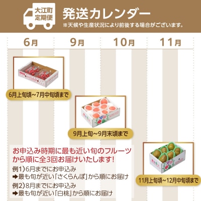 【発送月固定】山形旬彩!こだわりフルーツ定期便全3回C 063-T03