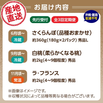 【発送月固定】山形旬彩!こだわりフルーツ定期便全3回C 063-T03
