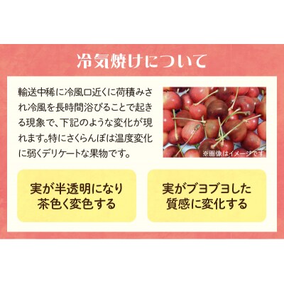 《先行受付》さくらんぼ 佐藤錦 500g 秀品 L バラ詰 【6月中旬頃～発送予定】_001-096