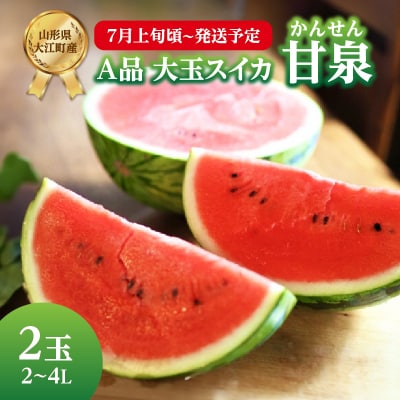 《先行受付》A品 大玉スイカ「甘泉」2玉 2L～4L【7月上旬頃～発送予定】 001-093
