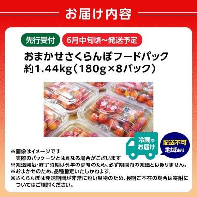 《先行受付》おまかせさくらんぼ フードパック 約1.44kg【6月中旬～発送予定】 001-099