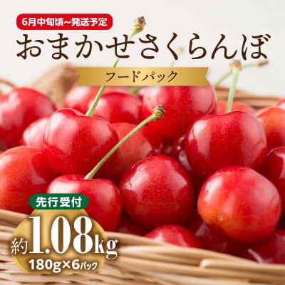 《先行受付》おまかせさくらんぼ フードパック 約1.08kg【6月中旬～発送予定】 001-088