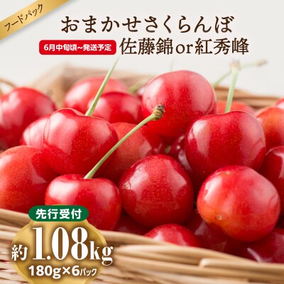 《先行受付》おまかせさくらんぼ 佐藤錦or紅秀峰 約1.08kg【6月中旬発送予定】 001-088