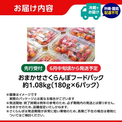 《先行受付》おまかせさくらんぼ 佐藤錦or紅秀峰 約1.08kg【6月中旬発送予定】 001-088