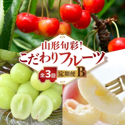 【発送月固定】山形旬彩!こだわりフルーツ定期便全3回B 063-T02