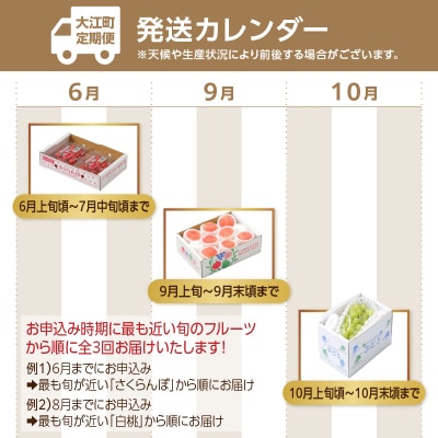 【発送月固定】山形旬彩!こだわりフルーツ定期便全3回B 063-T02