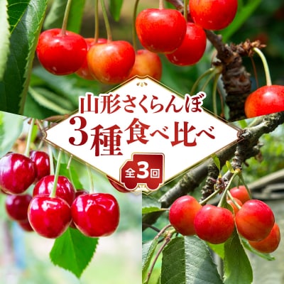 山形さくらんぼ 3種食べ比べ定期便【定期便全3回】 063-T04