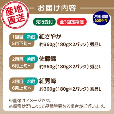 山形さくらんぼ 3種食べ比べ定期便【定期便全3回】 063-T04