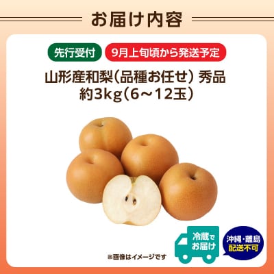 《先行受付》山形産和梨(品種お任せ)約3kg 秀品【2026年9月頃～順次発送予定】 063-015