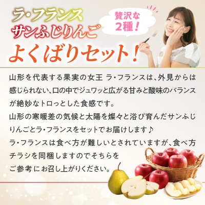 《先行受付》ラフランスとサンふじりんご詰合せ3kg【2026年11月頃より発送予定】 060-018