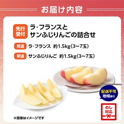 《先行受付》ラフランスとサンふじりんご詰合せ3kg【2026年11月頃より発送予定】 060-018