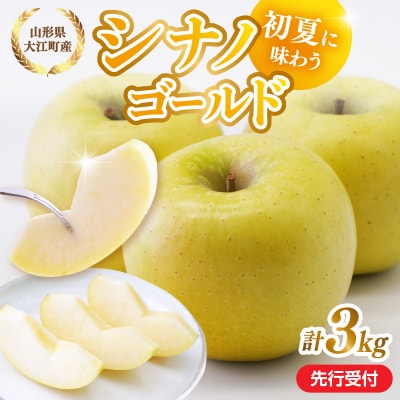 《先行受付》大江町産 りんご シナノゴールド約3kg  【5月上旬頃～順次発送予定】 028-037
