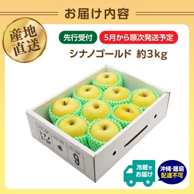 《先行受付》大江町産 りんご シナノゴールド約3kg  【5月上旬頃～順次発送予定】 028-037