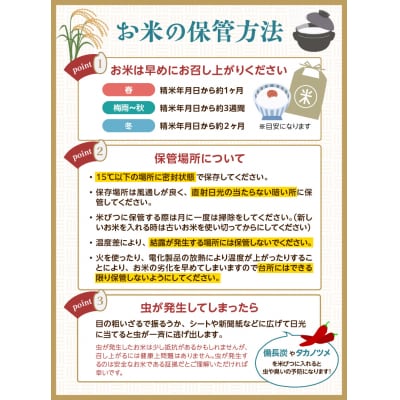 《2ヶ月定期便》山形県産 無洗米 令和7年産 つや姫 5kg×2ヶ月(計10kg) 036-T06