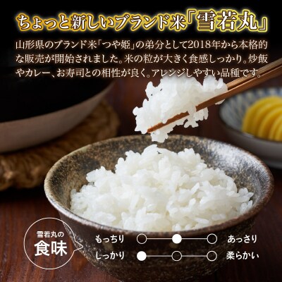 《3ヶ月定期便》山形県産 無洗米 令和7年産 雪若丸 10kg×3ヶ月(計30kg) 036-T28