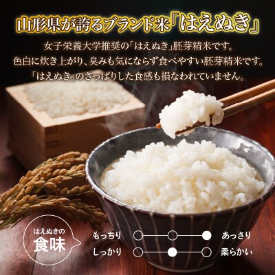 《2ヶ月定期便》山形県産 無洗米 令和7年産 はえぬき 胚芽精米 10kg×2ヶ月 036-T26