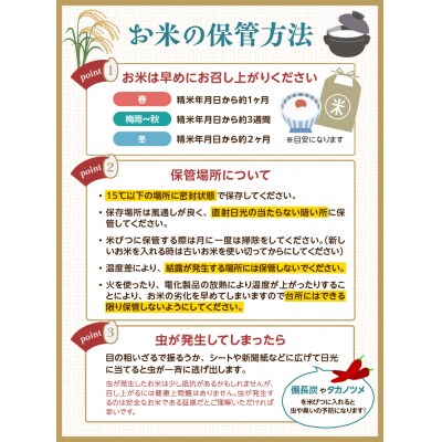 《3ヶ月定期便》山形県産 無洗米 令和7年産 はえぬき 胚芽精米 10kg×3ヶ月 036-T27
