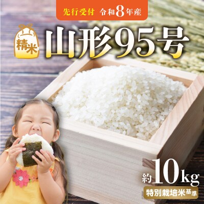 《先行受付》山形95号(令和8年産)精米 約10kg【10月中旬以降～順次発送予定】022-011