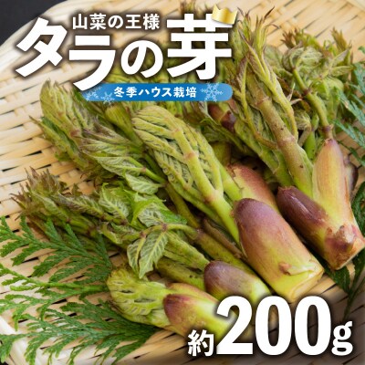 《先行予約》タラの芽 約200g 【2026年3月中旬～順次発送予定】 022-007