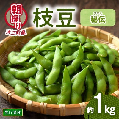 《先行受付》枝豆(秘伝)約1kg【2026年9月下旬より順次発送予定】 022-005