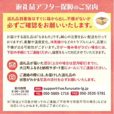 《先行受付》さくらんぼ 朝採り 大玉紅秀峰バラ 約500g【6月中旬以降順次発送予定】022-002