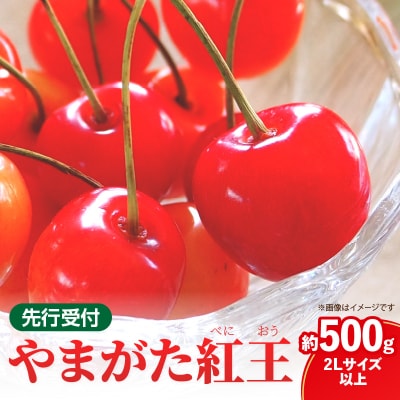 《先行受付》さくらんぼ山形紅王 約500g(2Lサイズ以上)【6月中旬～順次発送予定】022-012