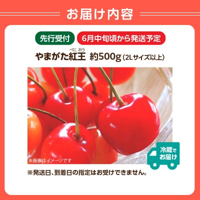 《先行受付》さくらんぼ山形紅王 約500g(2Lサイズ以上)【6月中旬～順次発送予定】022-012