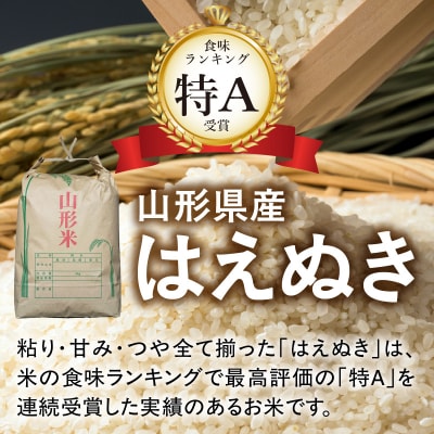 山形県産 はえぬき 5kg【2025年度産米】 065-001
