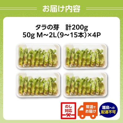 春を先取り♪厳選タラの芽 060-003