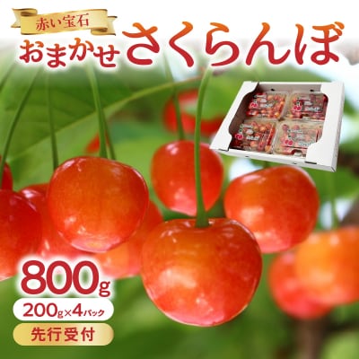 《先行受付》「赤い宝石」おまかせさくらんぼ 200g×4P【6月頃より順次発送予定】 060-022