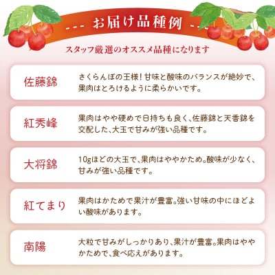 《先行受付》「赤い宝石」おまかせさくらんぼ 200g×4P【6月頃より順次発送予定】 060-022
