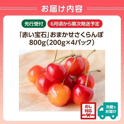 《先行受付》「赤い宝石」おまかせさくらんぼ 200g×4P【6月頃より順次発送予定】 060-022