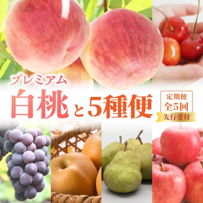 《先行受付》プレミアム白桃と5種便【定期便全5回】 060-T12