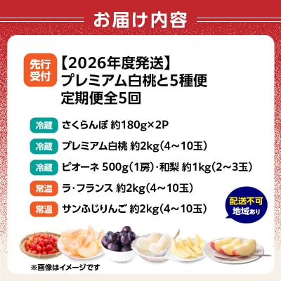 《先行受付》プレミアム白桃と5種便【定期便全5回】 060-T12