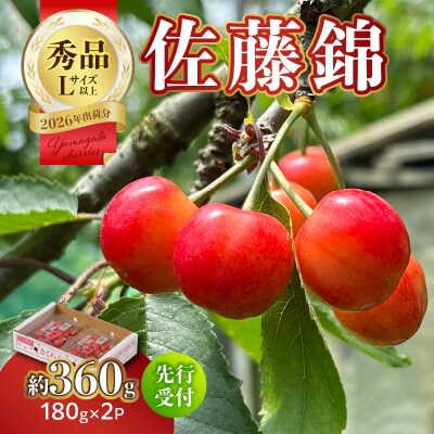 【2026年度先行受付】さくらんぼ佐藤錦 約360g 秀品【6月より順次発送予定】 063-013