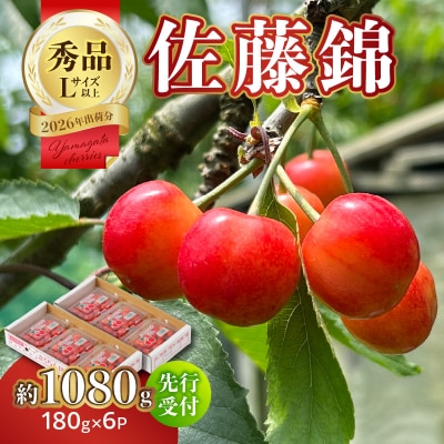 【2026年度先行受付】さくらんぼ佐藤錦 約1080g 秀品【6月より順次発送予定】 063-010