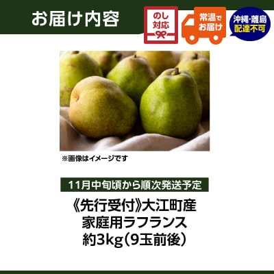 《先行受付》大江町産 家庭用ラフランス 約3kg【11月中旬頃～順次発送予定】 067-008