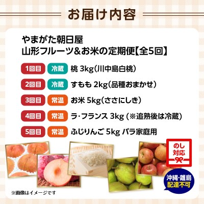 やまがた朝日屋 山形フルーツ&お米の定期便【全5回】 065-T02
