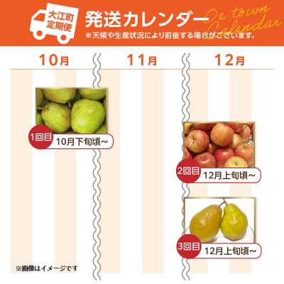 やまがた朝日屋 やまがた冬のフルーツ定期便【全3回】 065-T03