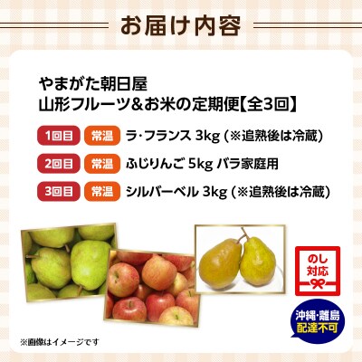 やまがた朝日屋 やまがた冬のフルーツ定期便【全3回】 065-T03