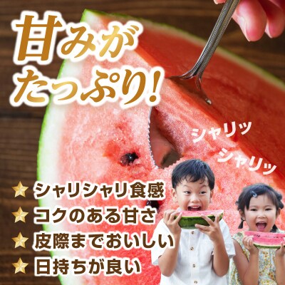 大江町産スイカ 羅皇ザ・スウィート 2L～3Lサイズ 2玉セット 068-002