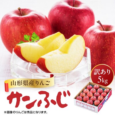 山形県産りんご 訳あり サンふじ 約5kg【2026年11月中旬頃～発送予定】 063-024