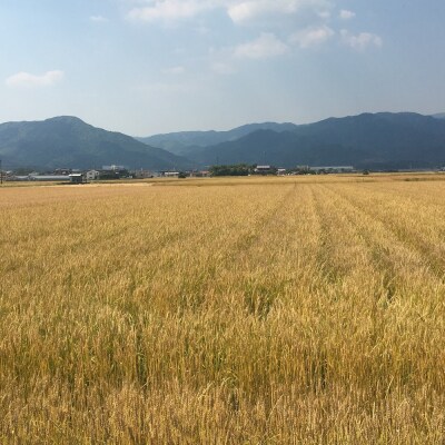 万両の特選みそとだしパック詰合せ (CA3) (H016215)