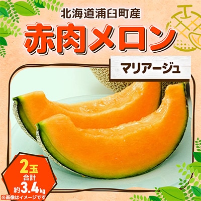 【令和9年産先行予約】大玉 赤肉メロン(マリアージュ)2玉 合計約3.4kg