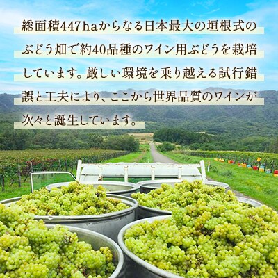 鶴沼収穫ワイン【ミュラー・トゥルガウ】白ワイン 2020年産