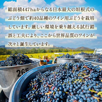 鶴沼収穫ワイン【ロンド】赤ワイン 2019年産