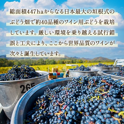 鶴沼収穫ワイン【木樽熟成ロンド】赤ワイン 2018年産
