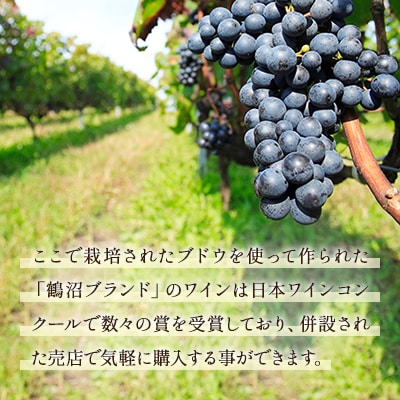 鶴沼収穫ワイン【木樽熟成ロンド】赤ワイン 2018年産 | 北海道